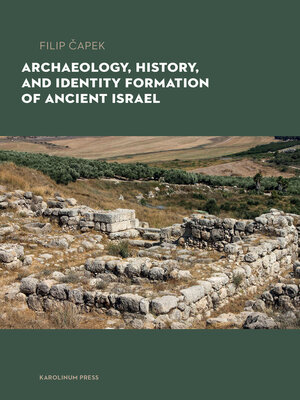 cover image of Archaeology, History, and Formation of Identity in Ancient Israel